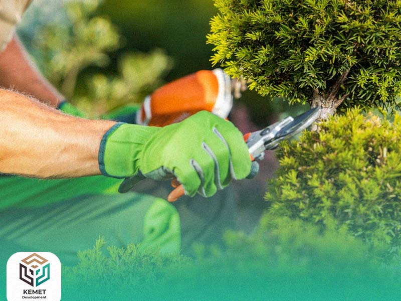 Landscaping Services: Bringing Nature to Life with Professional Design